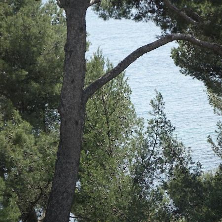 Residence Alouettes Hyeres Ngoại thất bức ảnh
