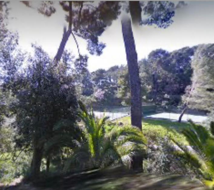 Residence Alouettes Hyeres Ngoại thất bức ảnh