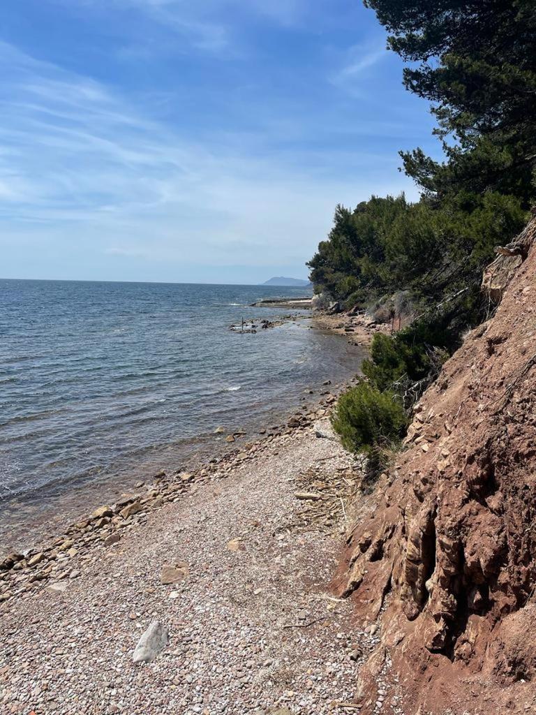 Residence Alouettes Hyeres Ngoại thất bức ảnh